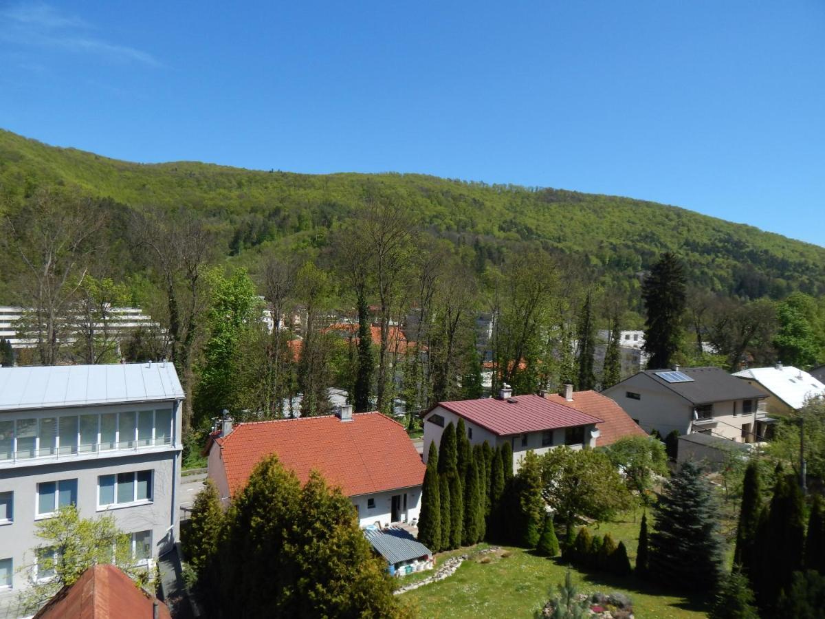 Apartmany Vila Juraj Trenčianske Teplice Εξωτερικό φωτογραφία